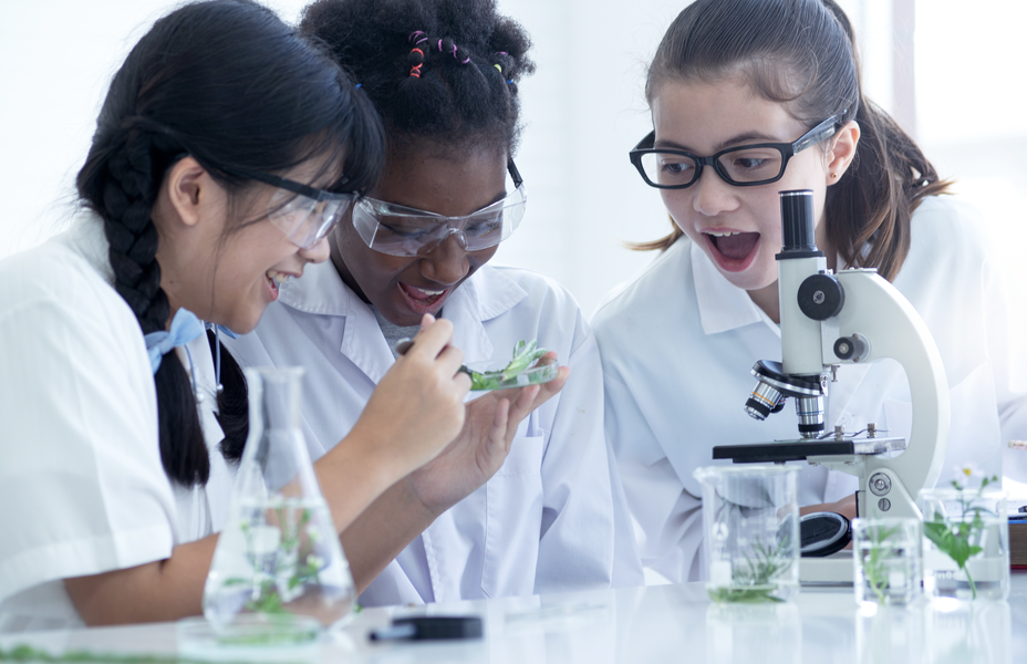 A Soap That Treats Skin Cancer: How STEM Mentorship from 3M is Making All the Difference