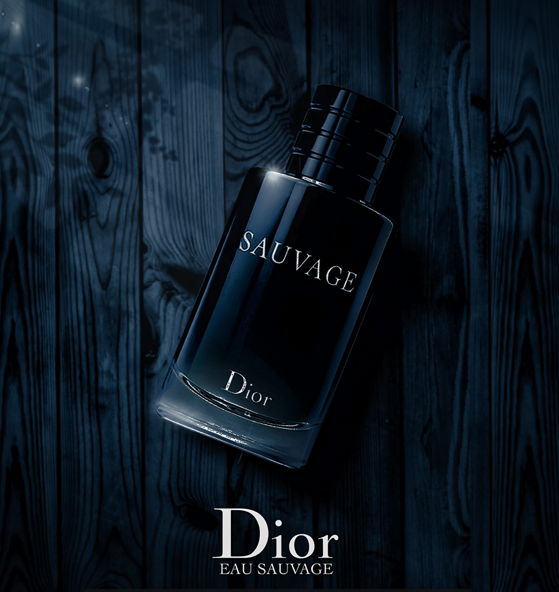 Screen Shot 2024-03-20 at 12.51.20 PM.png