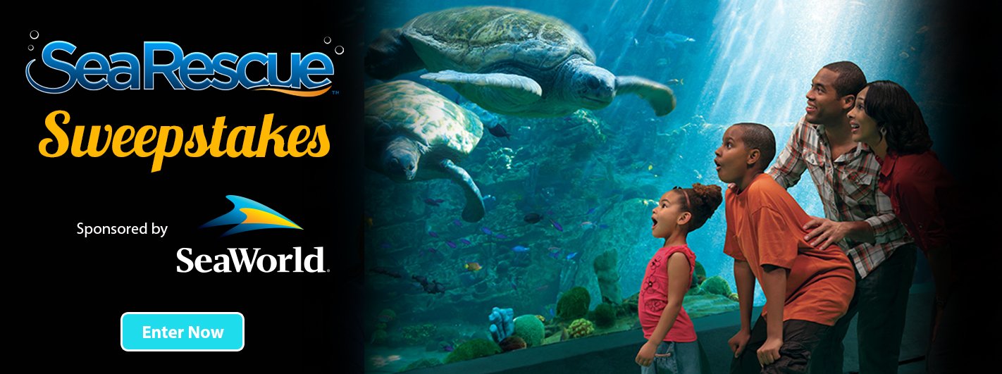 Homepage_Slide_turtle copy.jpg