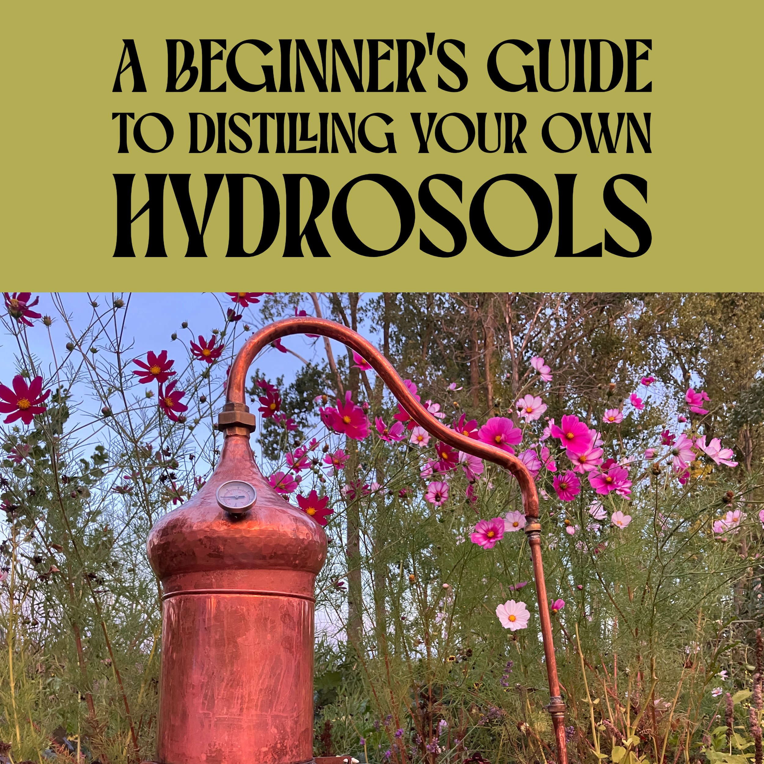 A Beginner's Guide to Distilling Your Own Hydrosols Ebook