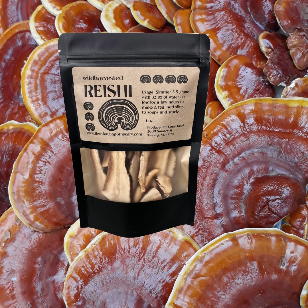 🍄&zwj;🟫Coming May 13th for the Spring Release- dried medicinal and culinary mushrooms. Including wild harvested Hemlock Reishi ( Ganoderma tsugae) mindfully harvested from the forests of Northeast Michigan, along with dried gourmet Lion&rsquo;s Man