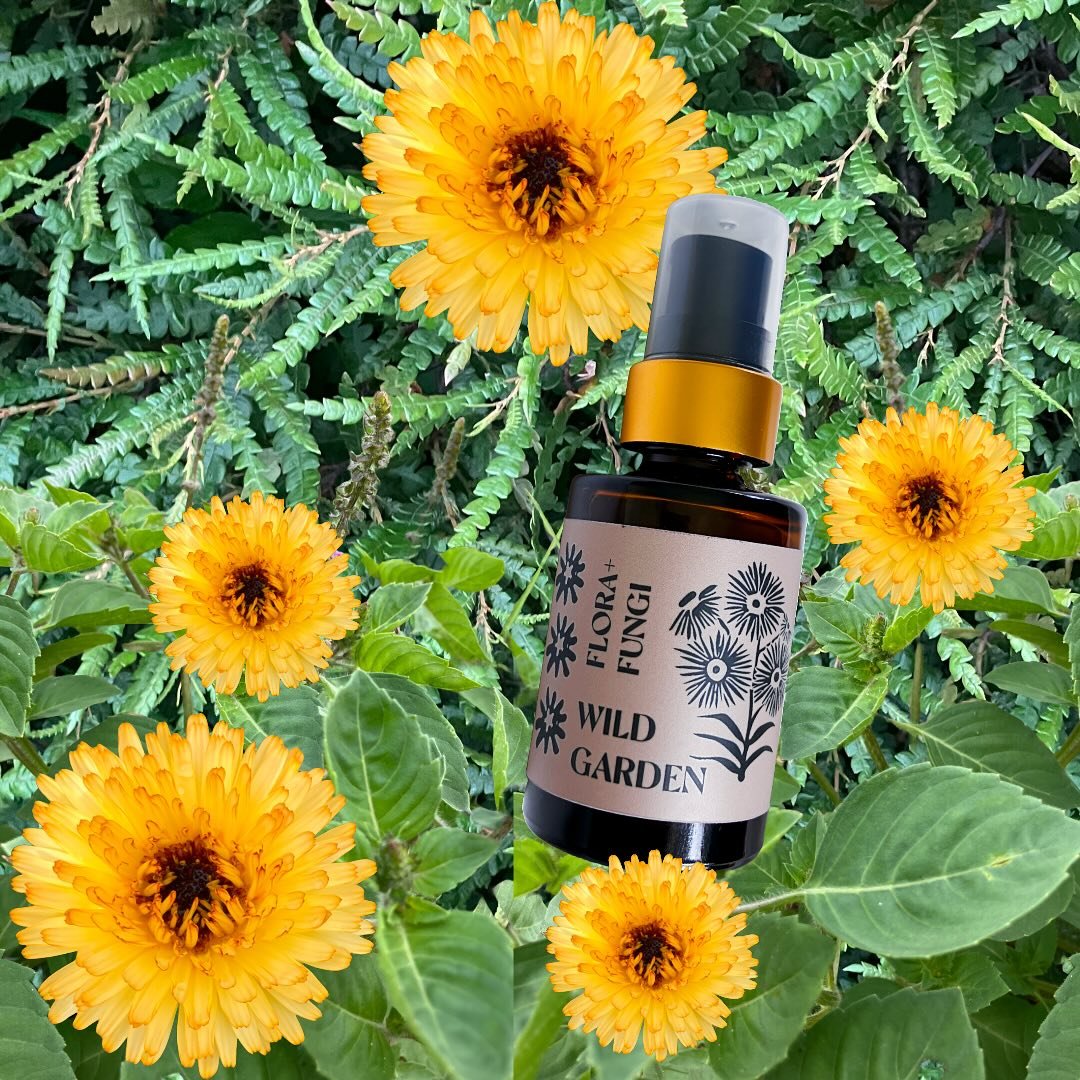 Introducing your skin&rsquo;s new best friend- Wild Garden Copper Peptide Serum! A fusion of garden-grown +wildcrafted  herbs and oceanic minerals to renew, clarify, and deeply hydrate your skin.

At its core is our Tulsi Basil Hydrosol, distilled in