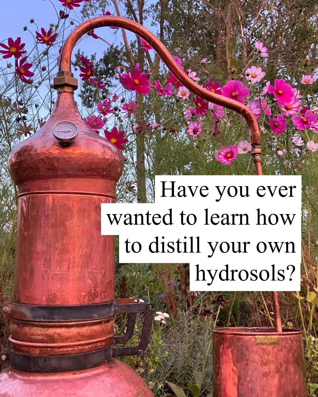 Spring is here and I&rsquo;ve got some big news to share!

For nearly the last three years I&rsquo;ve been pouring my heart and soul into a project and it&rsquo;s almost time to share it with the world&hellip;.

Coming this May, I&rsquo;m launching m