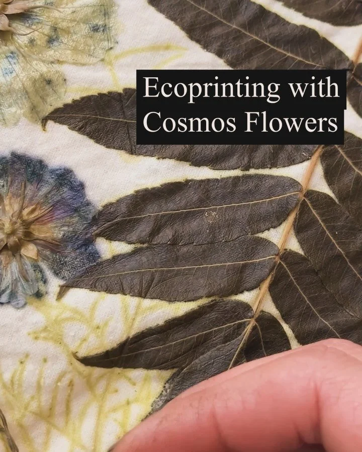 Seed starting season has me all nostalgic about last years blooms. I&rsquo;ve usually spend a lot of my winter working on textile art but this year I&rsquo;ve been so busy filming and editing videos for my Botanical Distillation course launching this