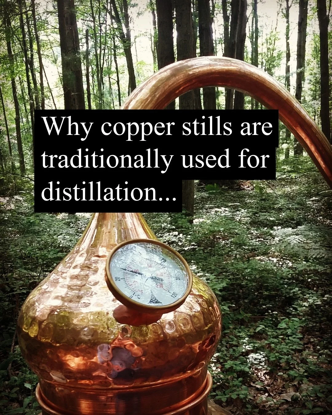 There&rsquo;s a reason why copper is the gold standard for distillers around the world&hellip;.. #copperstill #distillation #hydrosoldistillation #aromaticdistillation #botanicaldistillation