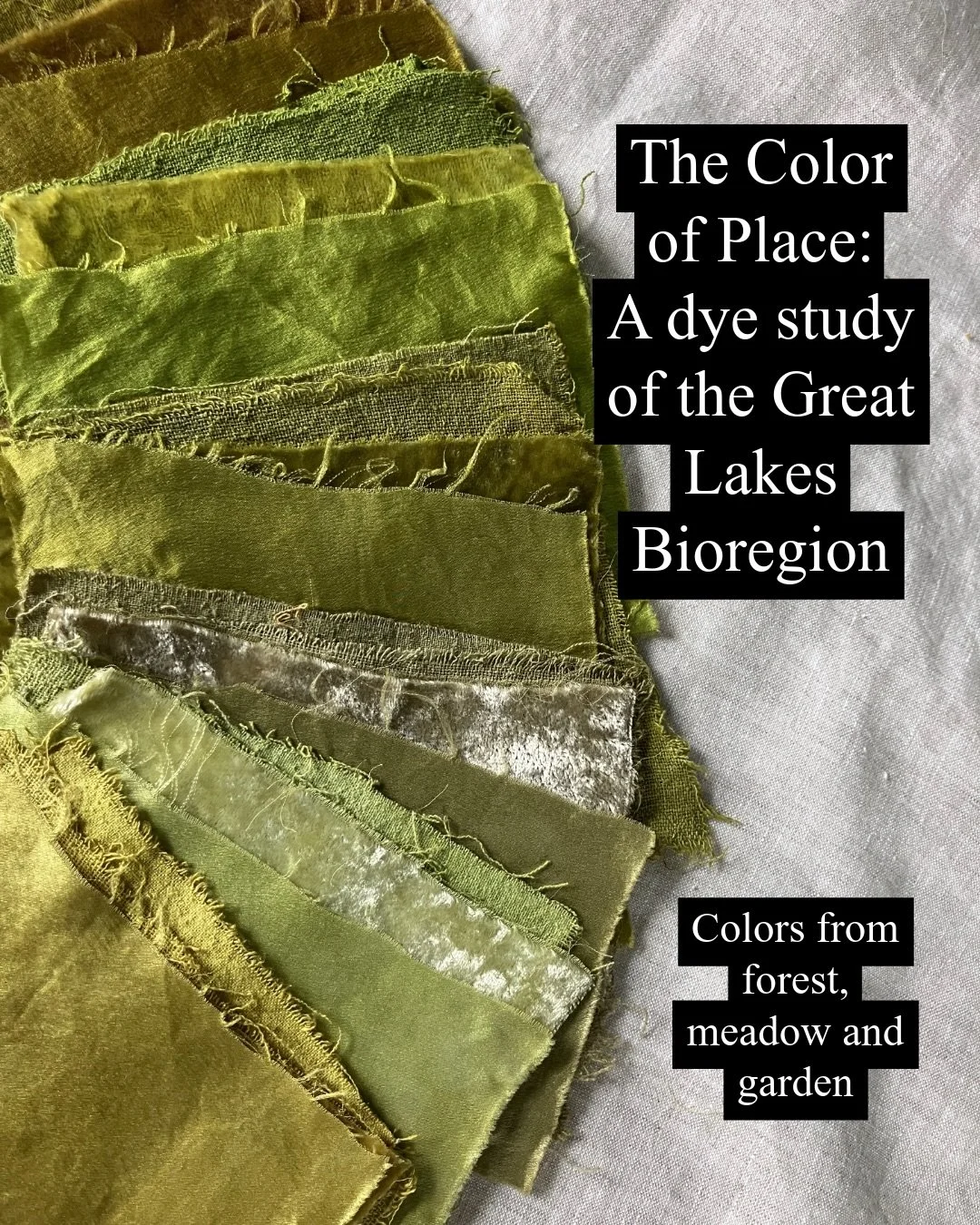 When I first started working with natural dyes I felt like making dye swatches was a waste of fabric. But as I started working with silk I needed to keep better track of the colors I created, and a new obsession emerged. 

In my ecoprinting practice 