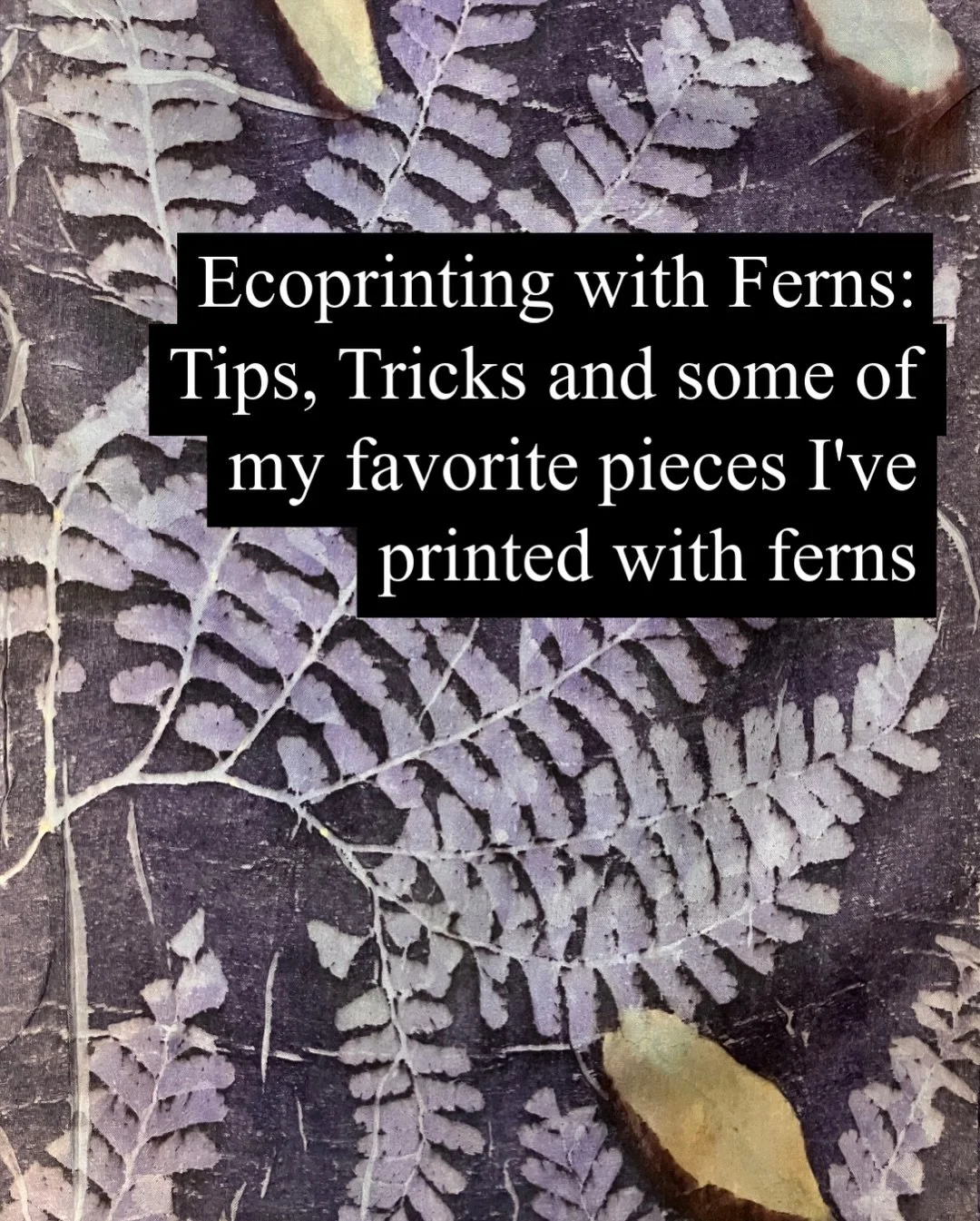 Ecoprinting with Ferns: Tips and Tricks

Ferns are one of my favorite plants to incorporate into my textile art, but there&rsquo;s a problem- most ferns don&rsquo;t leave a print- so if you want to use them in your ecoprints you need to take a few ex