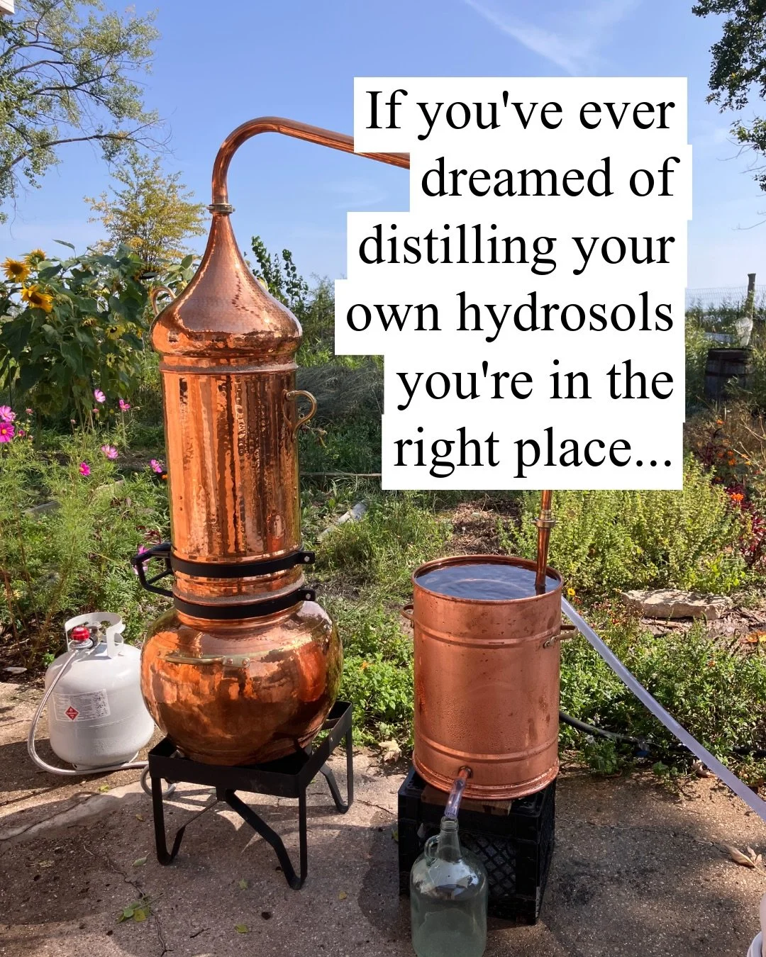 If you&rsquo;ve ever dreamed of distilling your own hydrosols&hellip; you&rsquo;re in the right place!

My online course Botanical Distillation: Art, Science, Alchemy is now open to enrollment!

In this immersive self-paced course you&rsquo;ll learn: