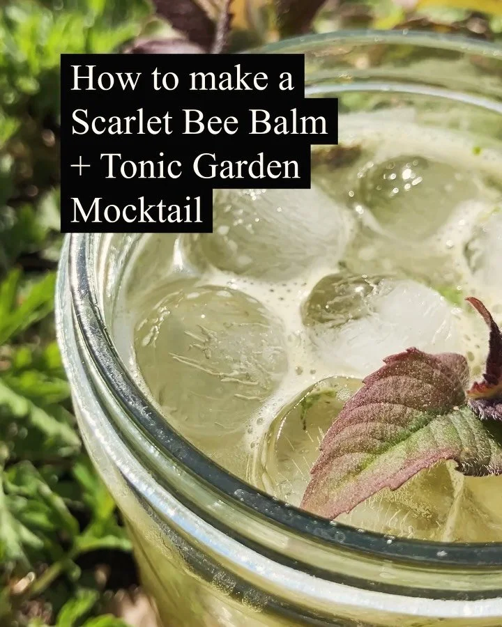 I&rsquo;ve been dreaming all winter about all the herbs sleeping in my garden awaiting me when spring comes- and now that it&rsquo;s here I&rsquo;m out in the garden like a little squirrel every day gathering handfuls of herbs to incorporate in all m