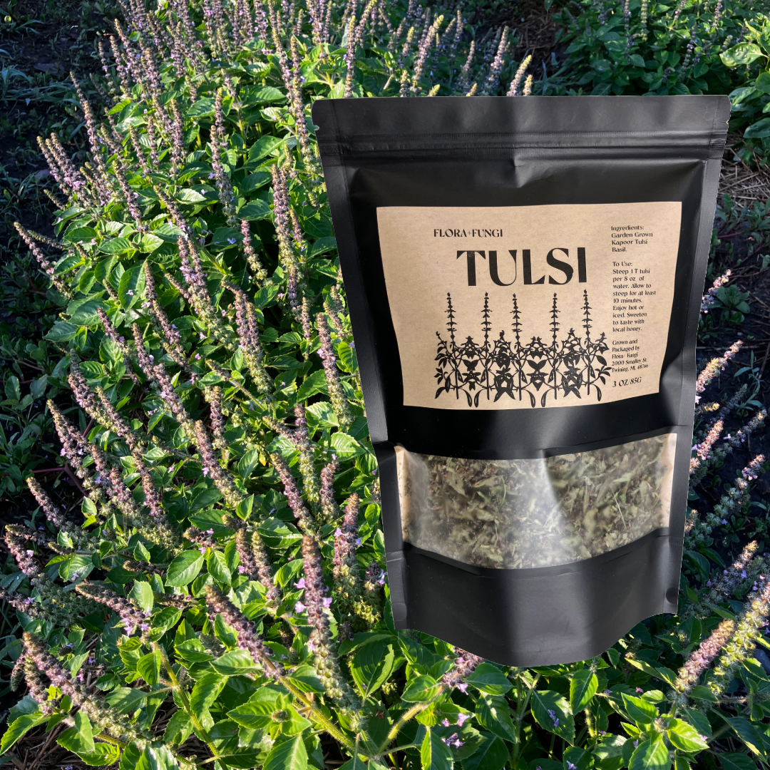 Bulk Tulsi Basil