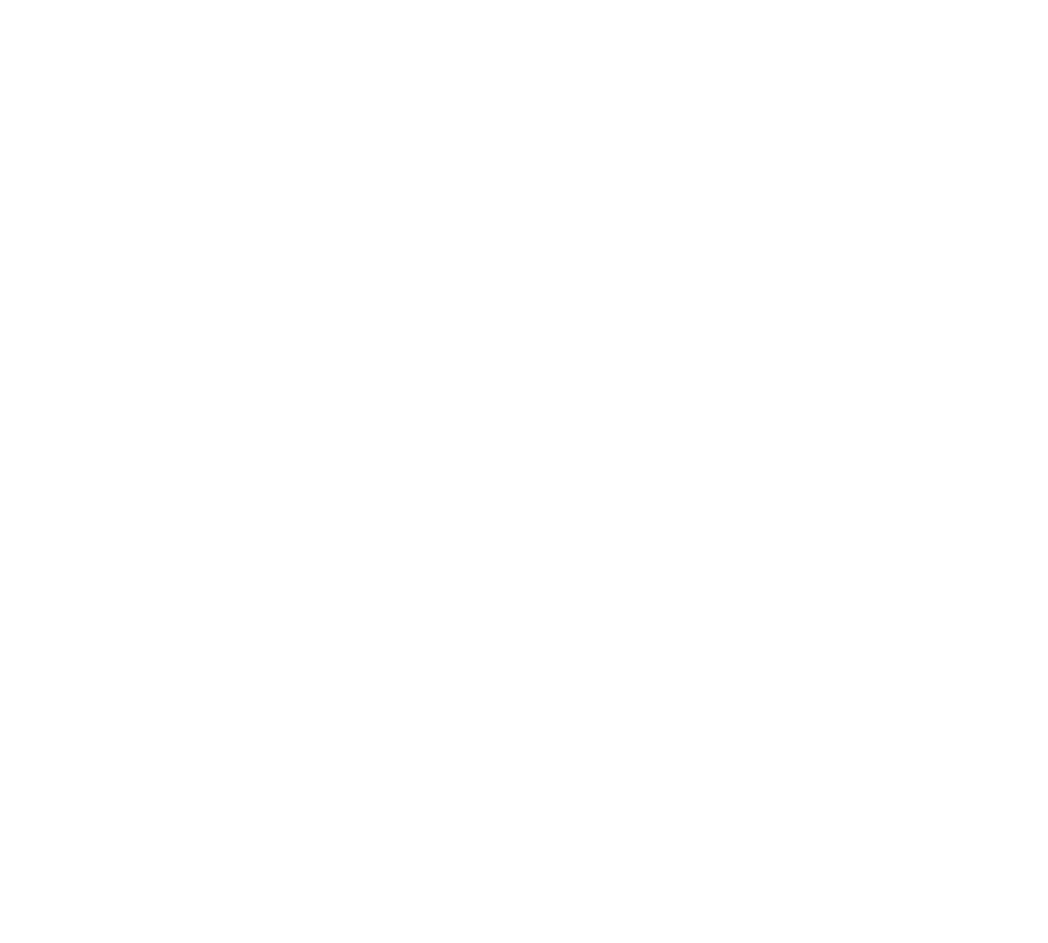Willows Pizza + Restaurant