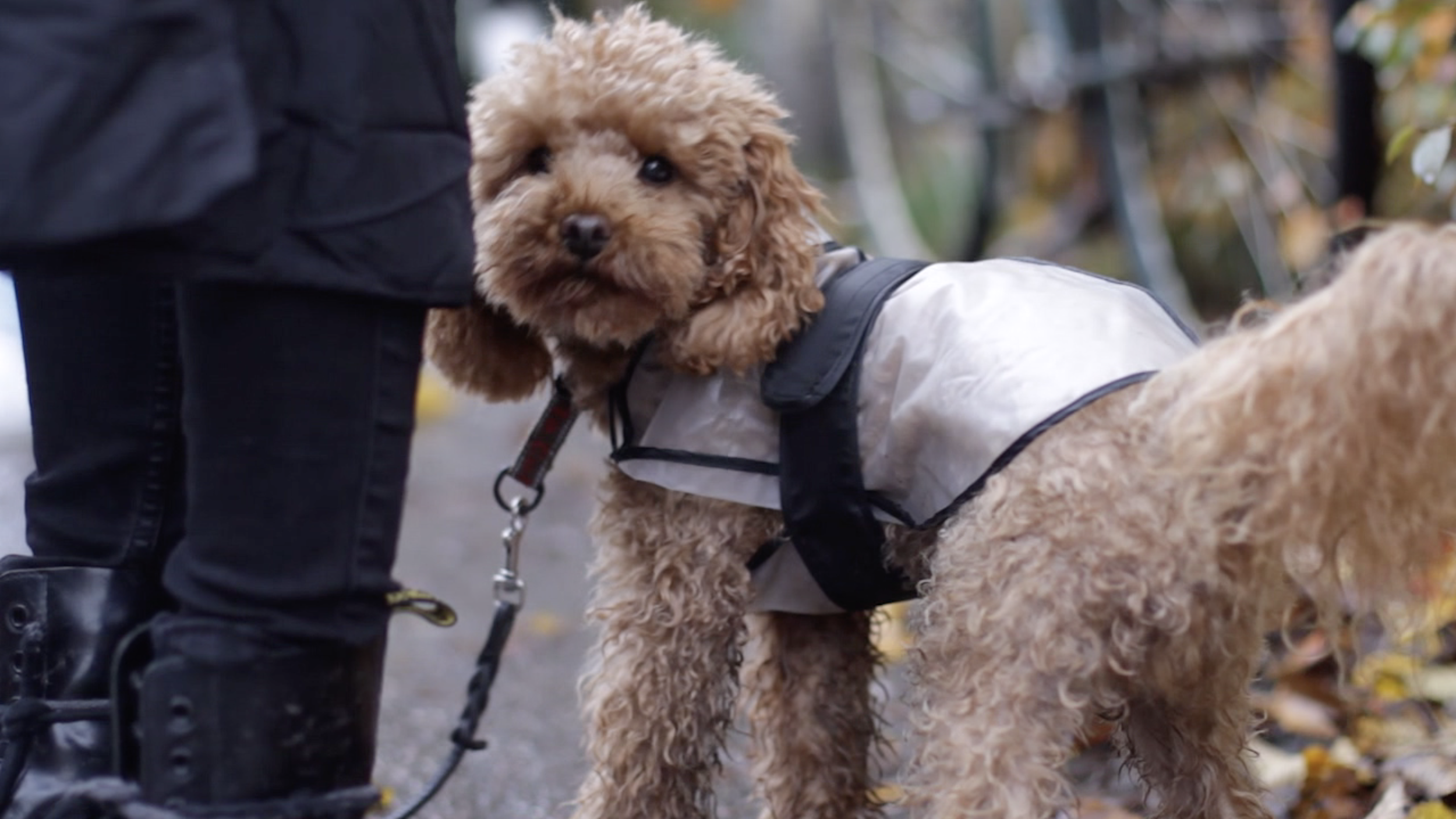 Skärmavbild 2020-01-23 kl. 15.19.44.png