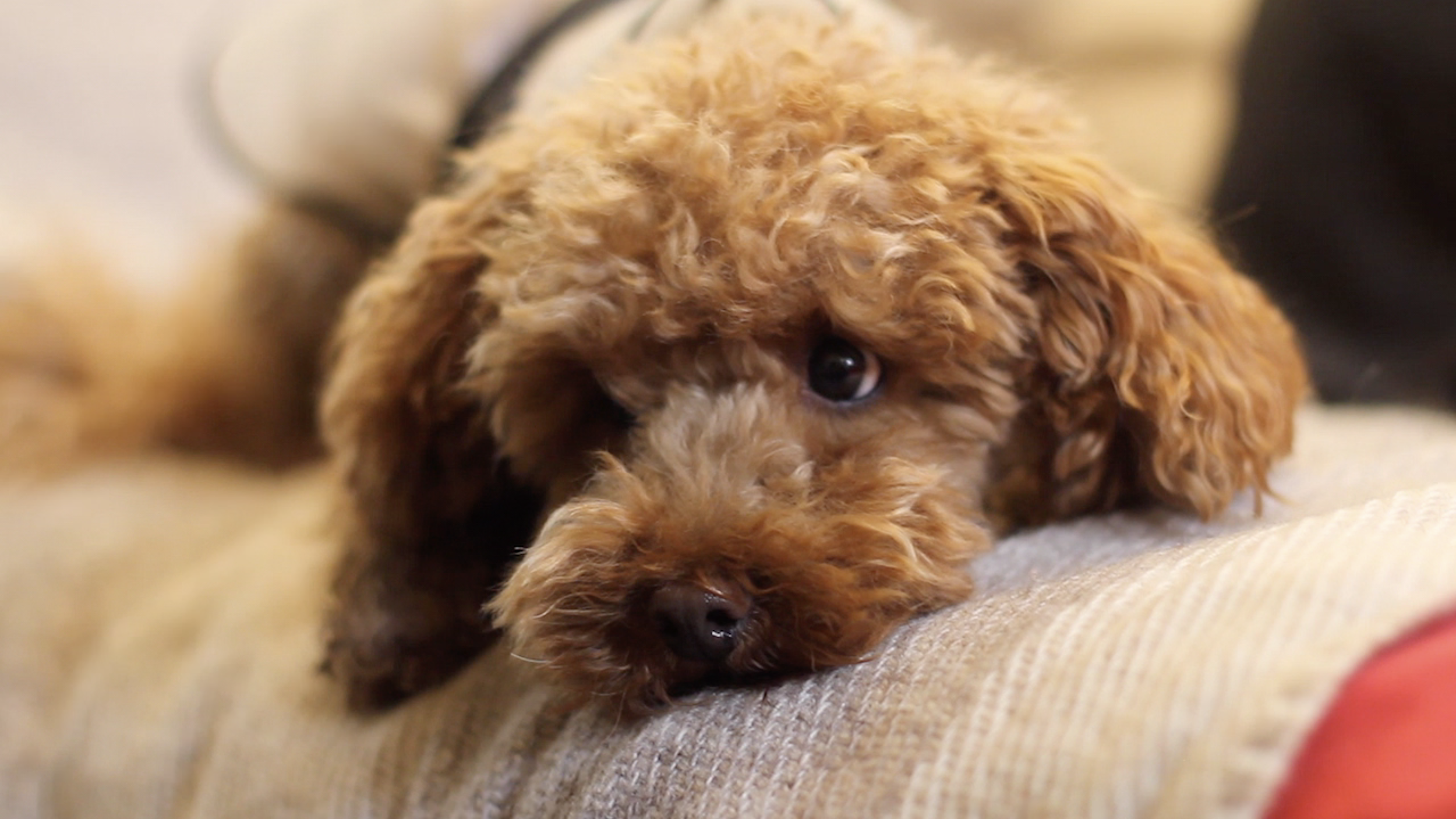 Skärmavbild 2020-01-23 kl. 15.20.56.png