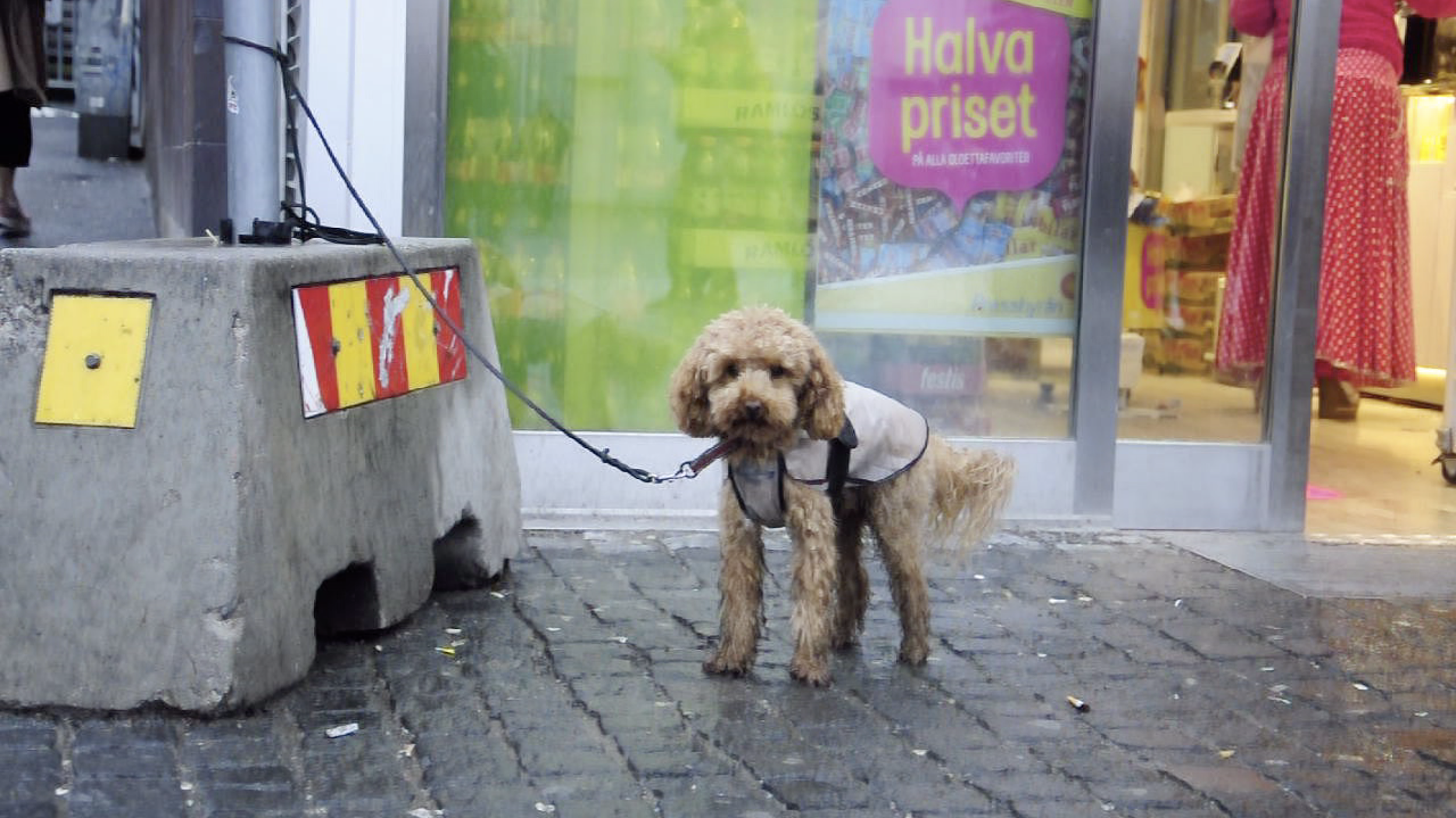 Skärmavbild 2020-01-23 kl. 15.17.00.png