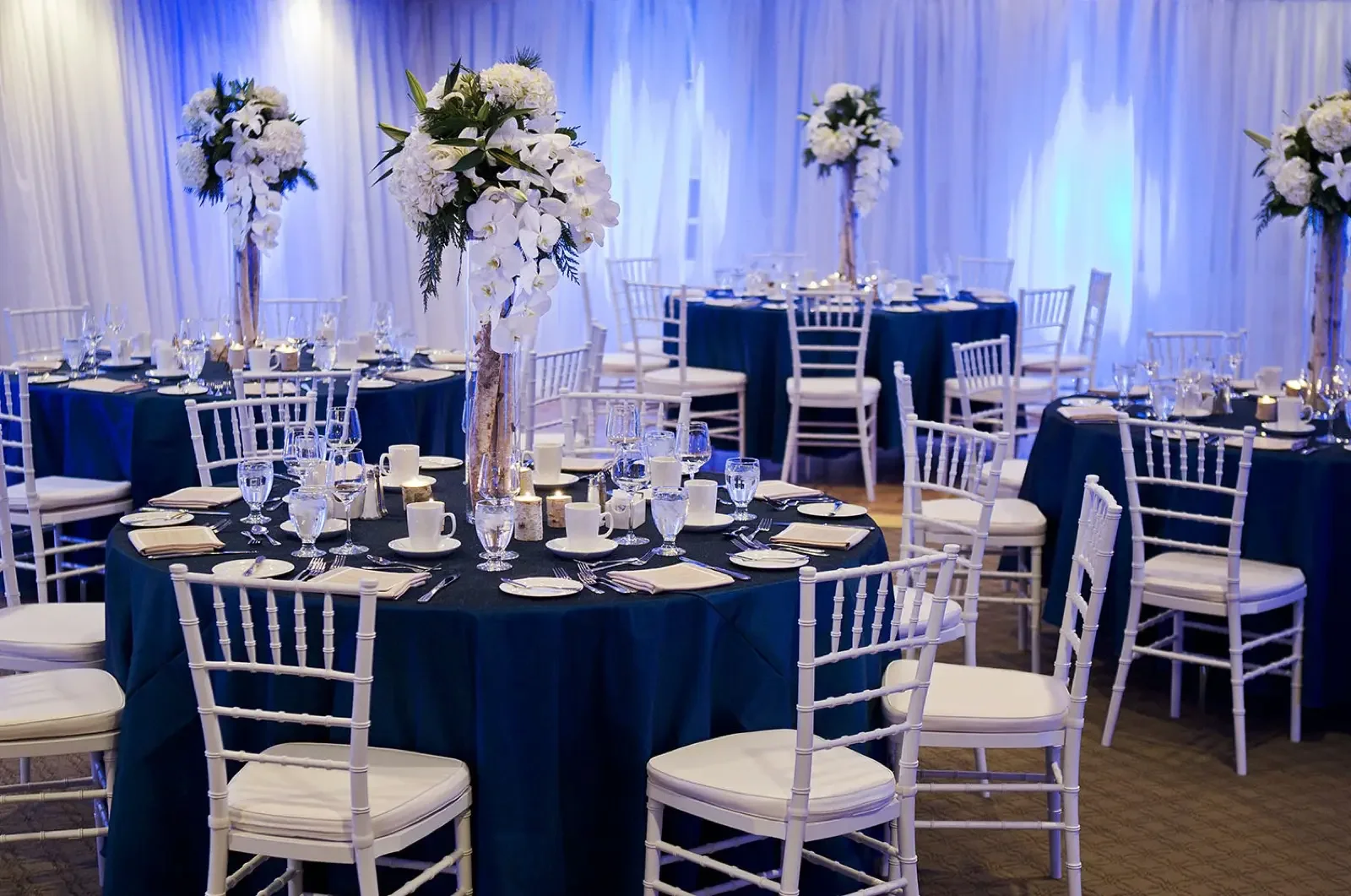 Linen Decor Rental Winnipeg2.webp