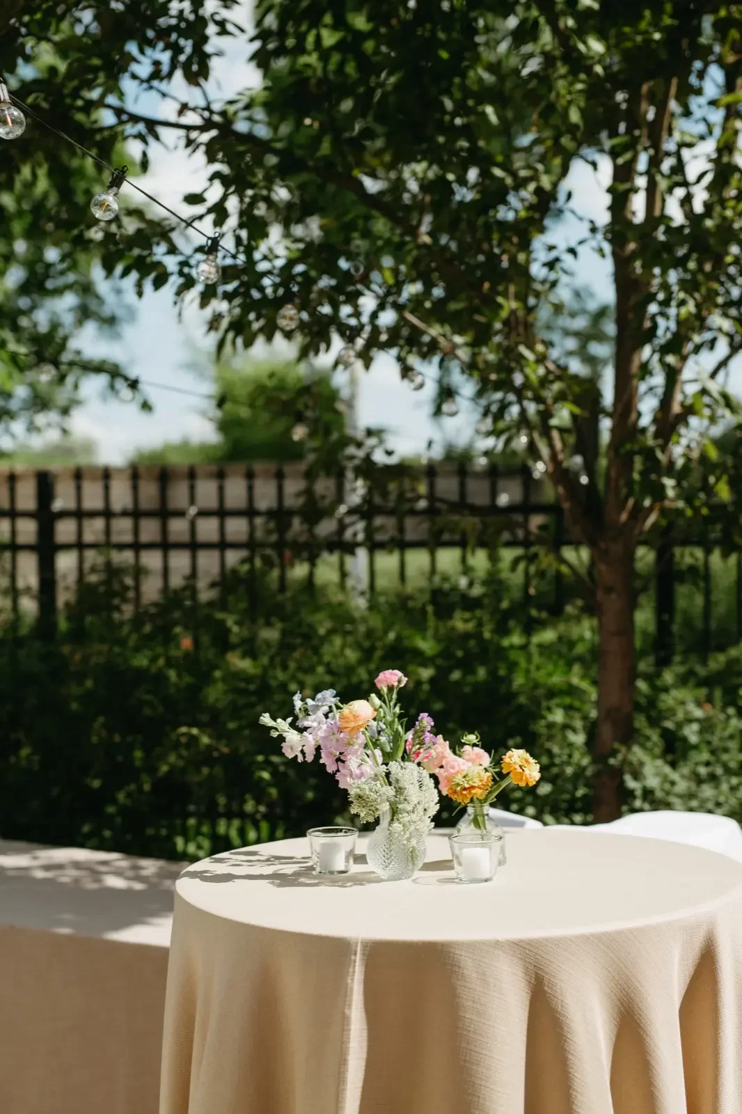 Winnipeg Event Rentals1.webp