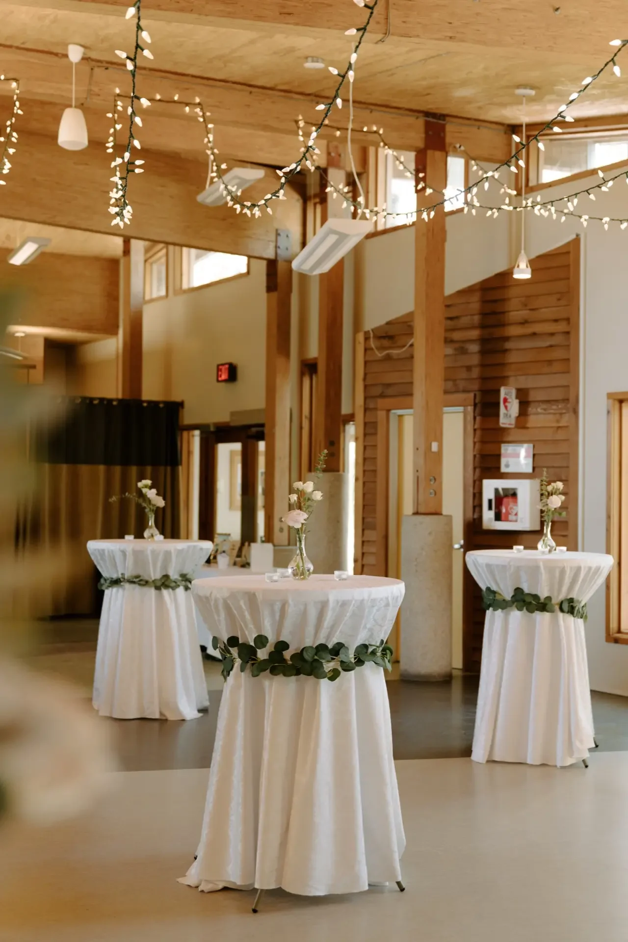 Winnipeg Event Rentals12.webp