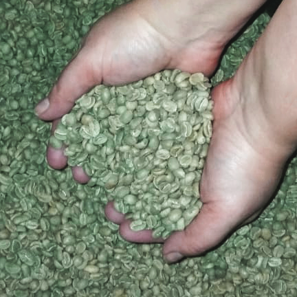greencoffee.png