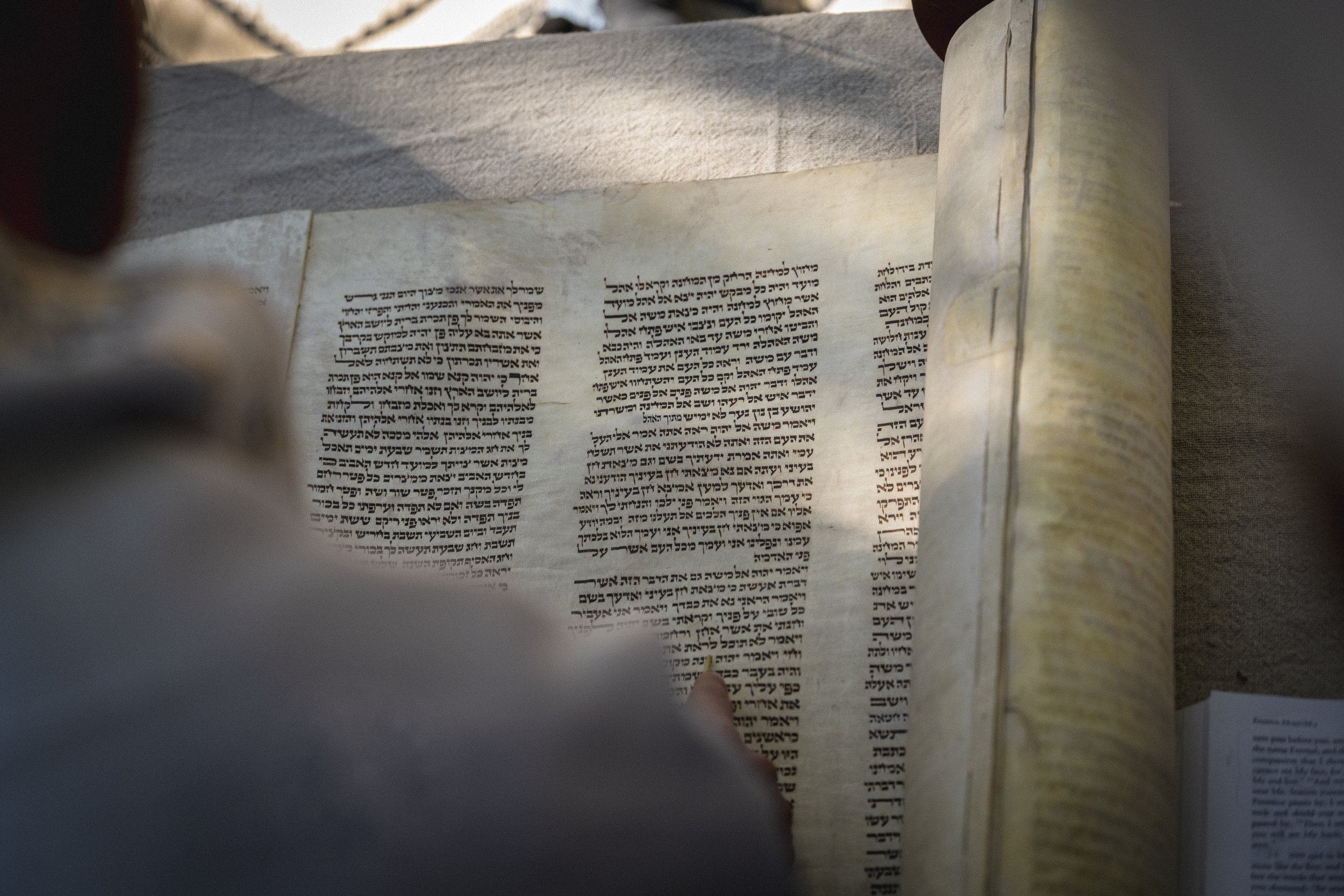 Aravah_Kornbluth-82.jpg