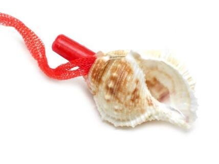 conch whistle.jpg