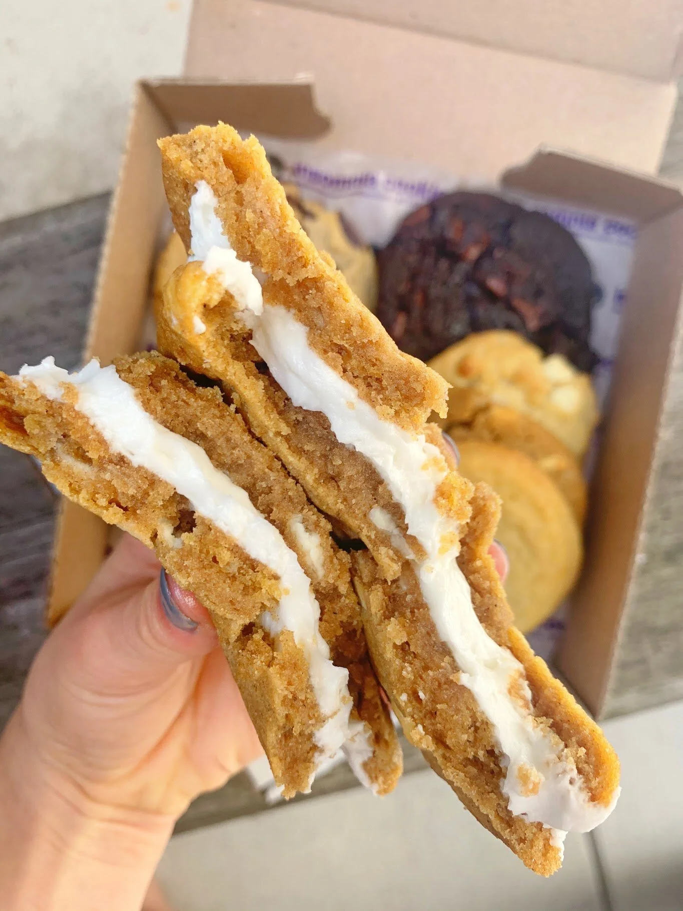 Pumpkin Cheesecake Cookie Special