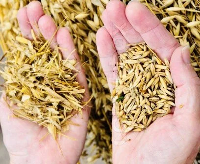 Separating the Wheat from the Chaff on Parental Alienation Research