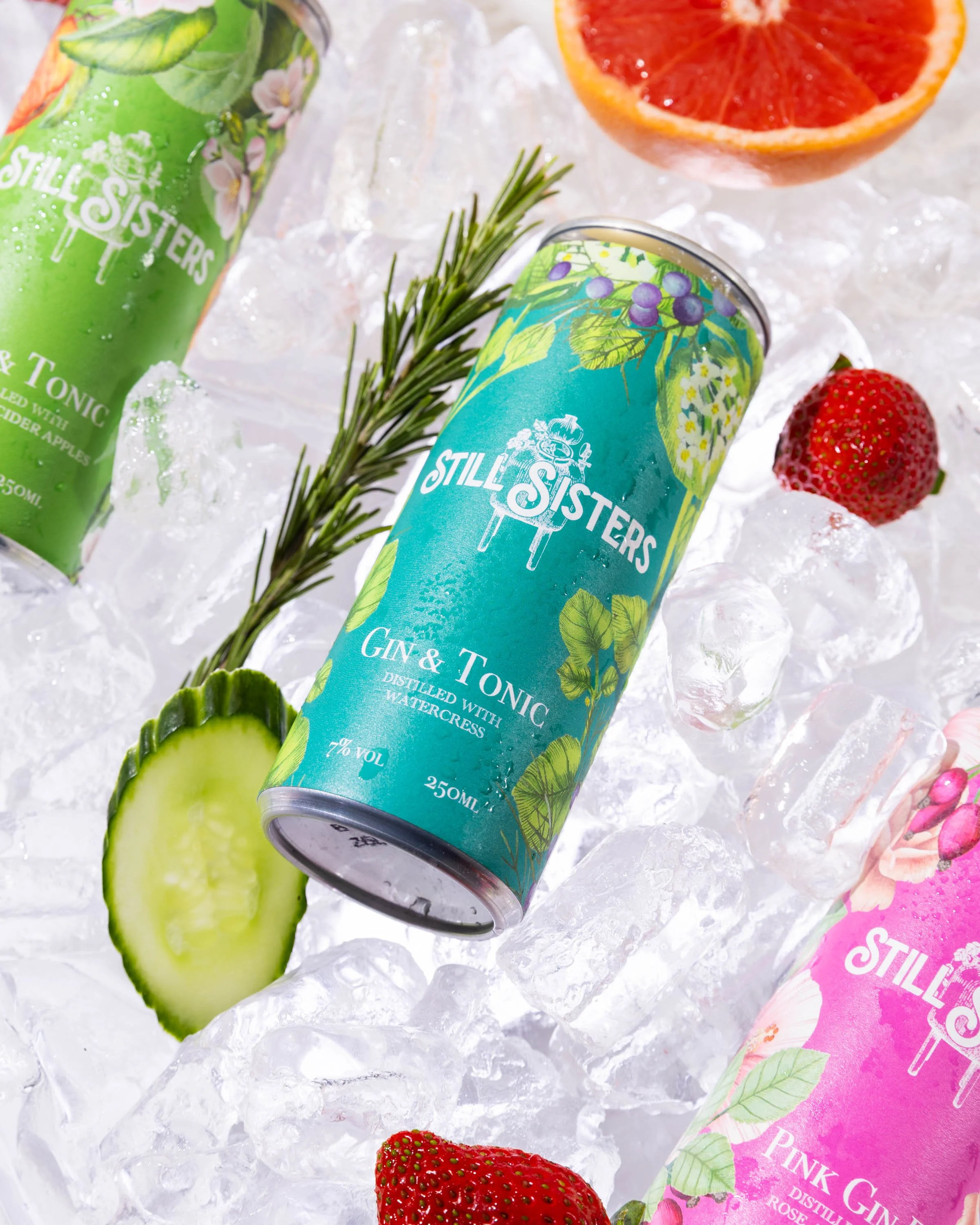 Gin & Tonic Pack of 4