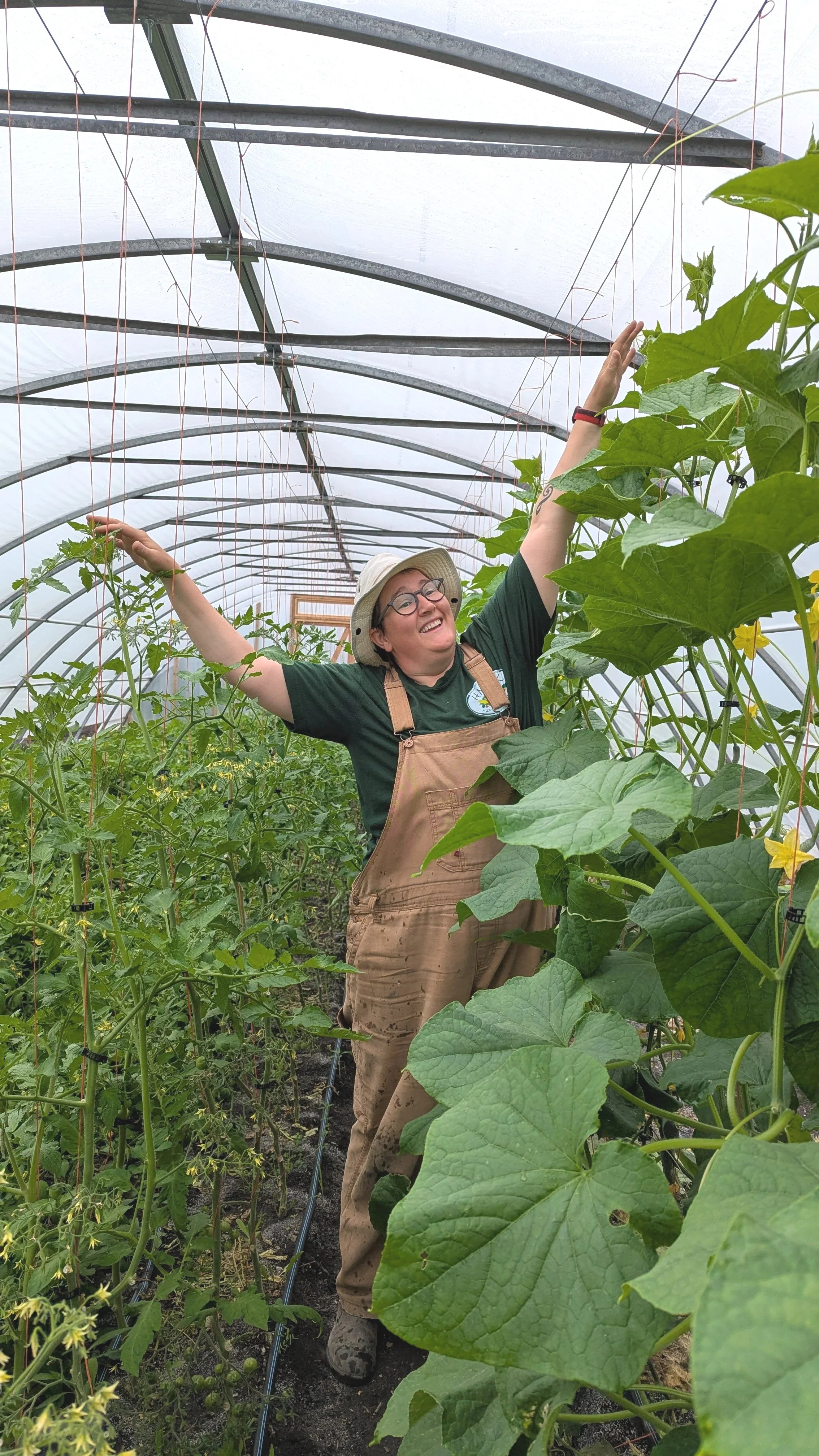 Katy stretching to reach the top of the greenhouse cucumbers