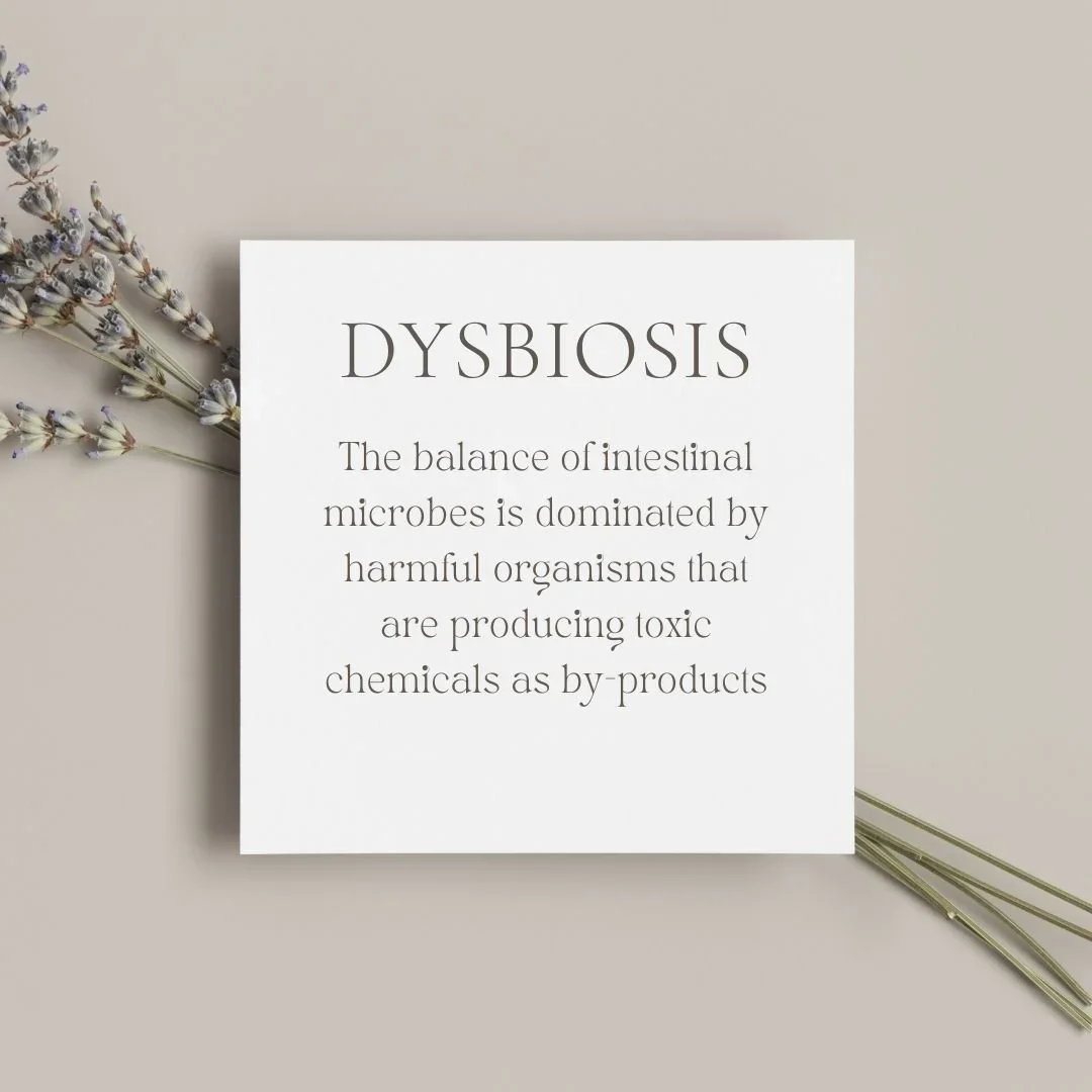 The 12 Hidden Signs of Gut Dysbiosis (That Doctors Often Miss)