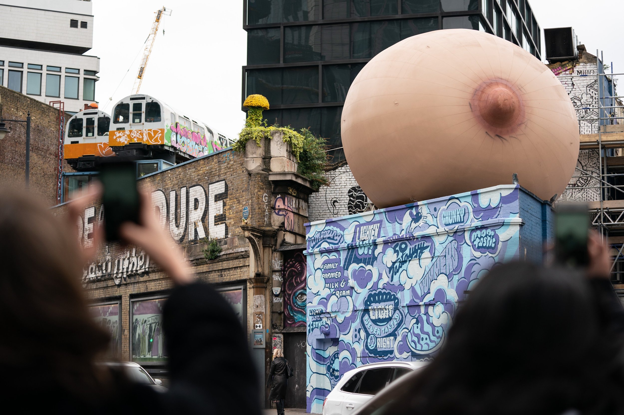 Boobs_01.jpg
