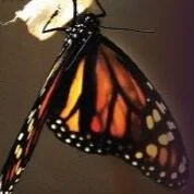 When Truth Feels Like a Yoke