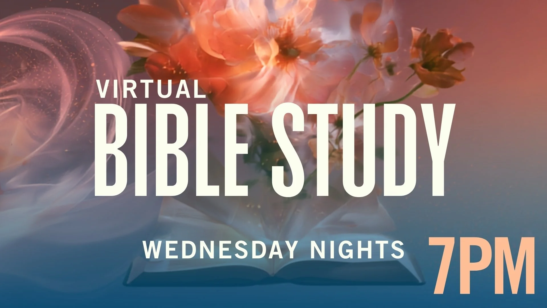 Virtual Bible Study