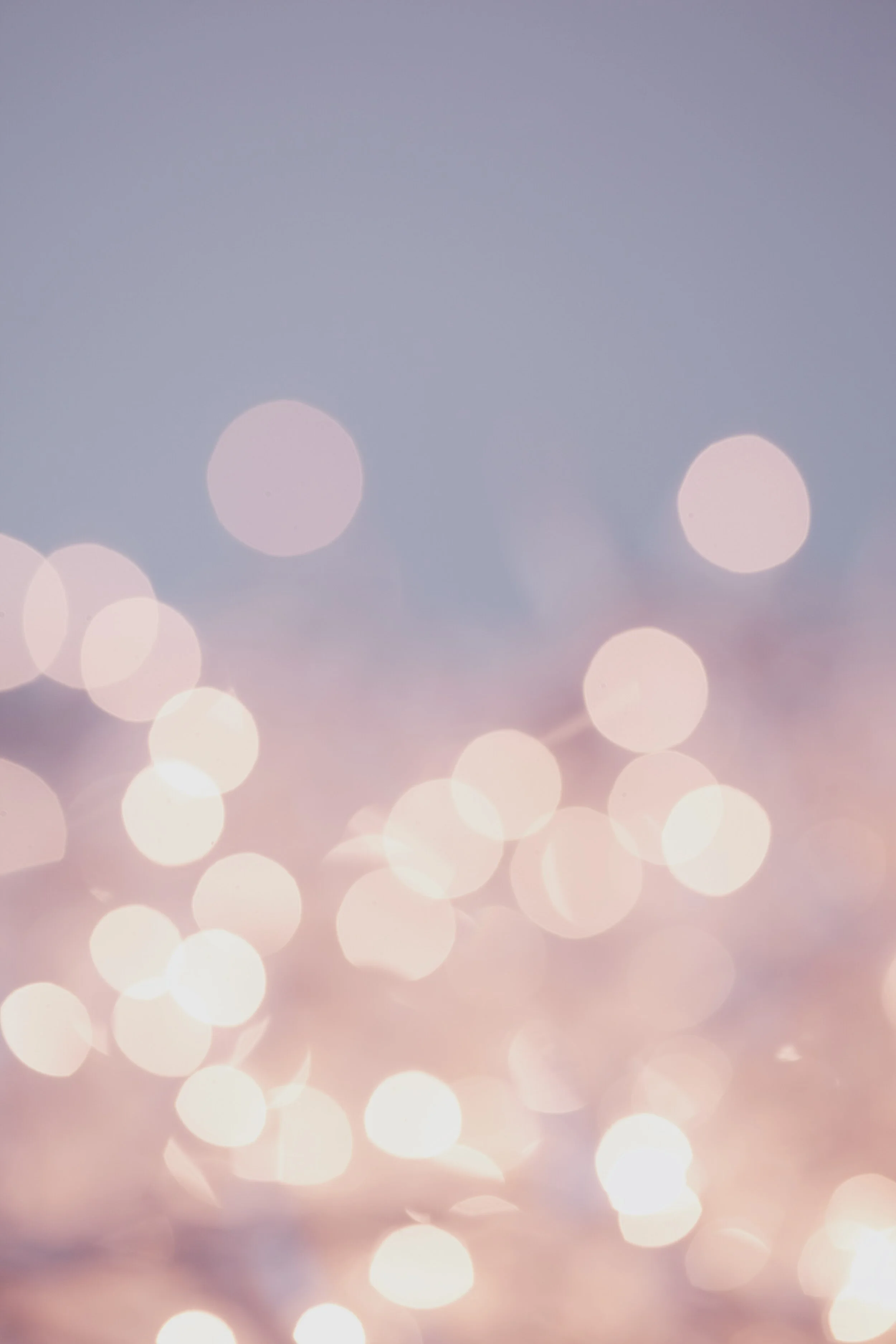 sharon-mccutcheon-bokeh.jpg