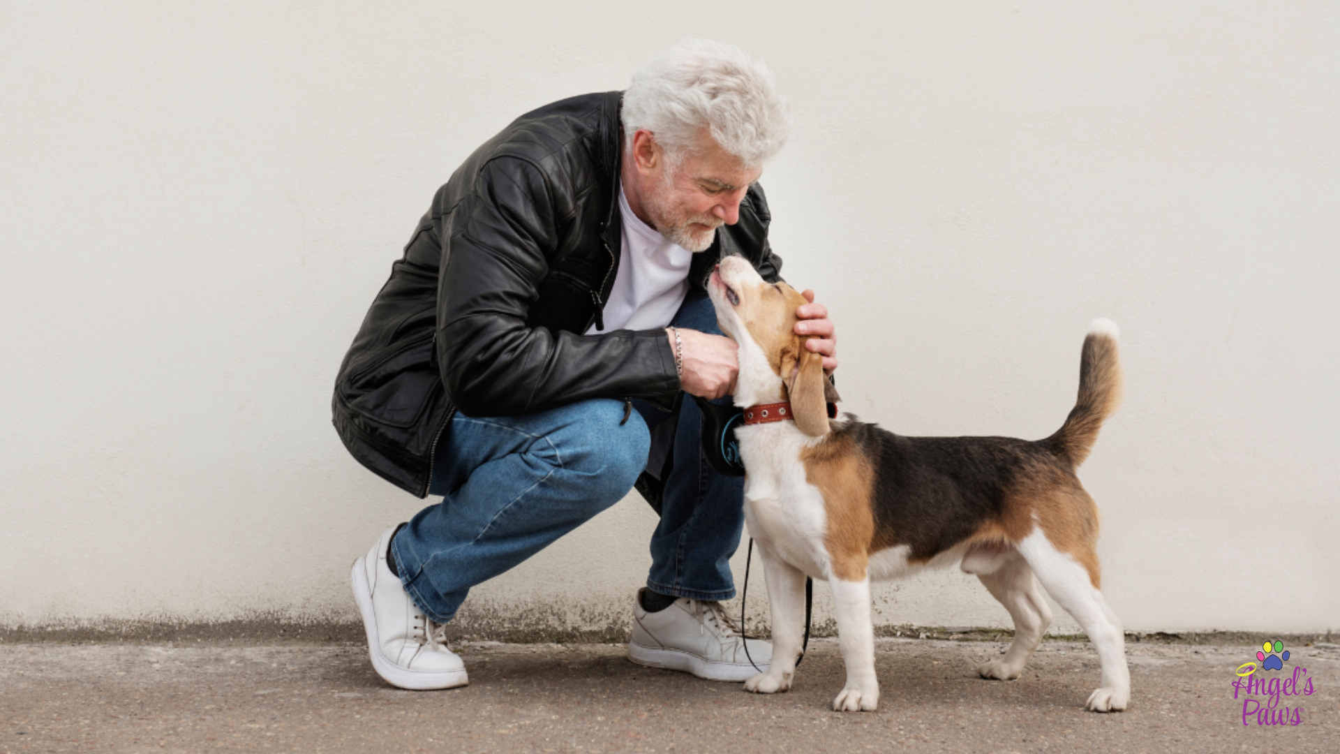 Veterinary Hospice: Debunking the Top Five Myths About Pet Hospice