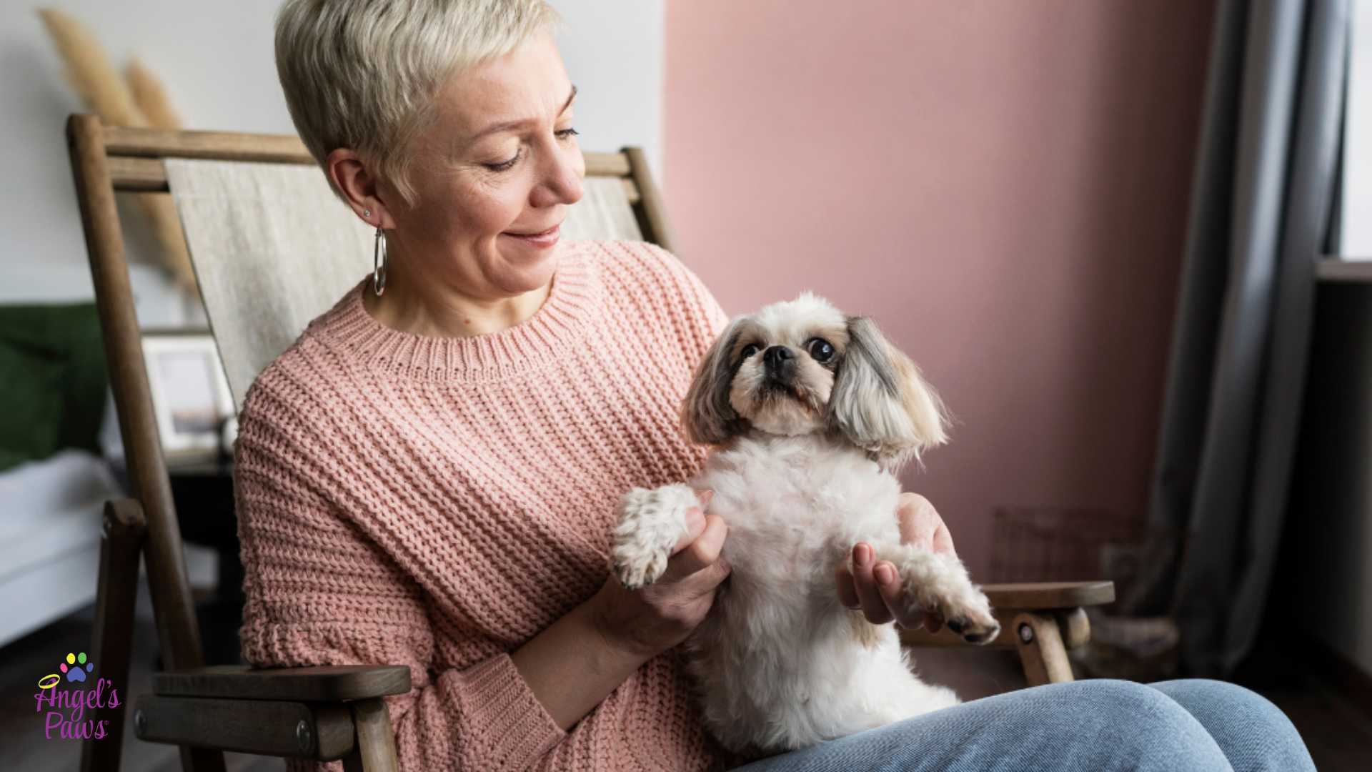 Veterinary Hospice: How to Create a Serene Space for Your Aging or Ill Pet