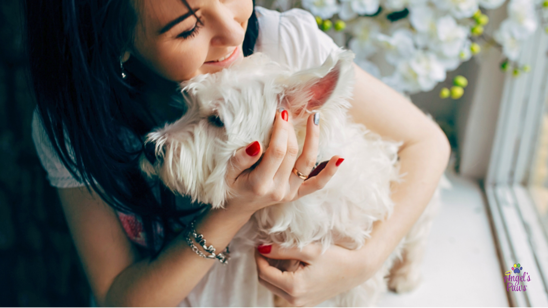 Coping with Pet Loss: How to Navigate the Loss of a Beloved Companion