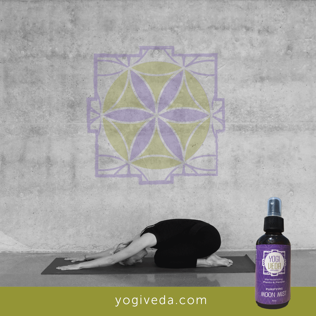 Social Media Campaign