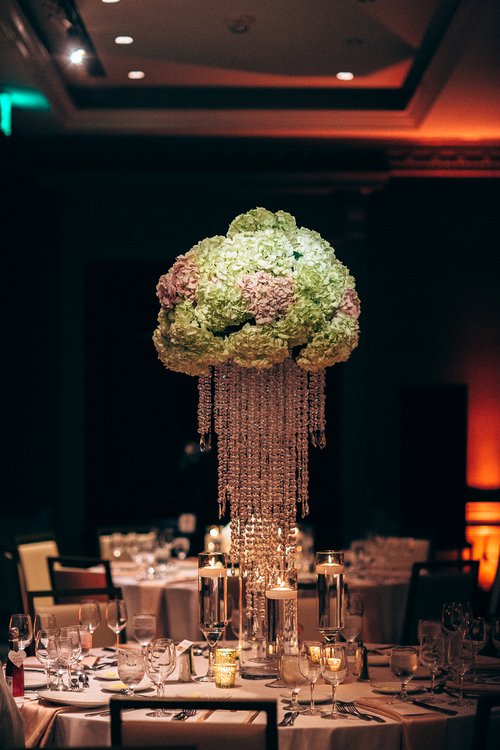 Savanna High Floral.jpg
