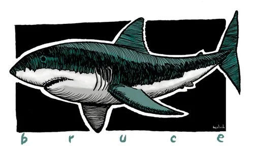 SharkSticker-copy.jpg