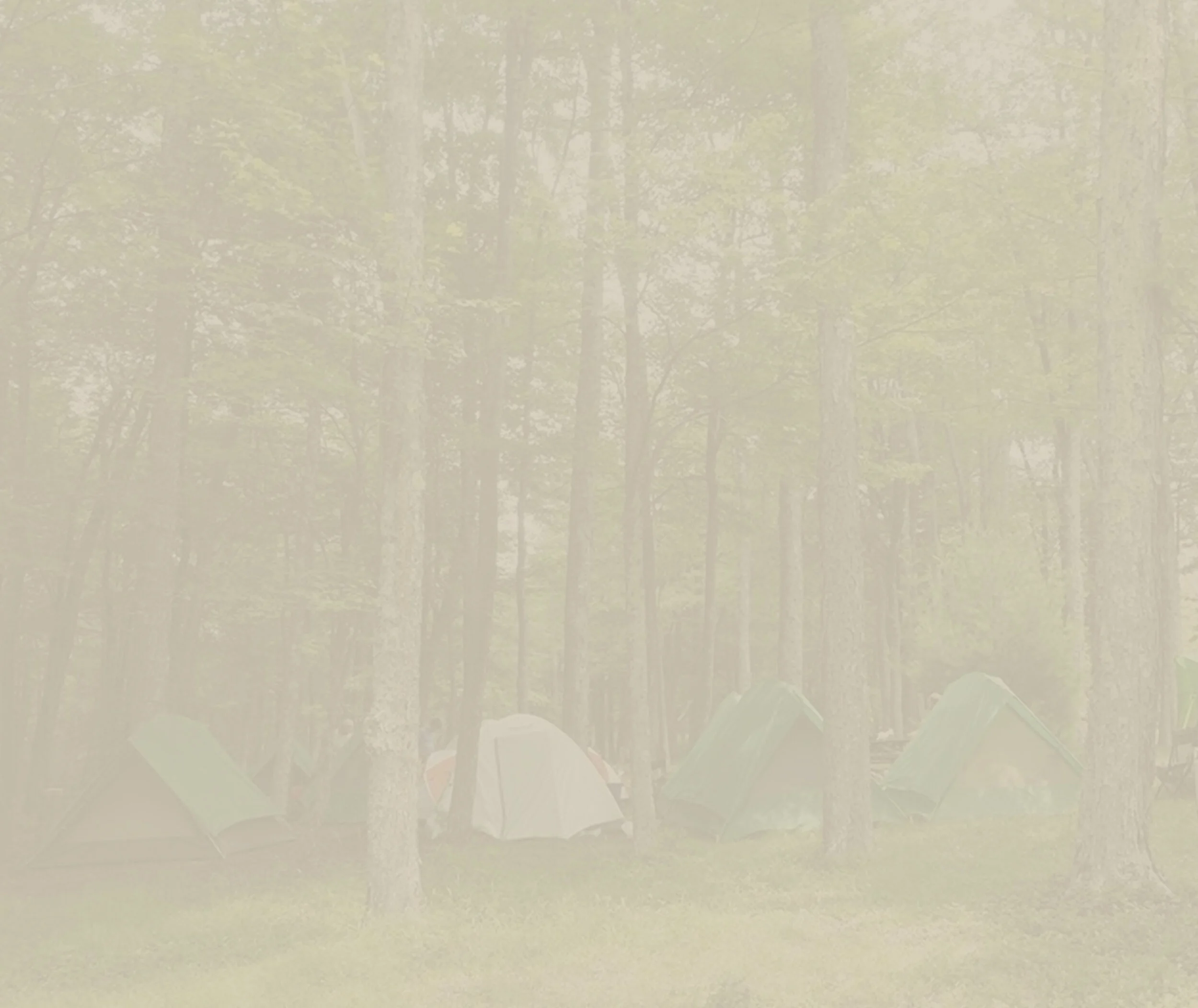 CAMPING_2.jpg