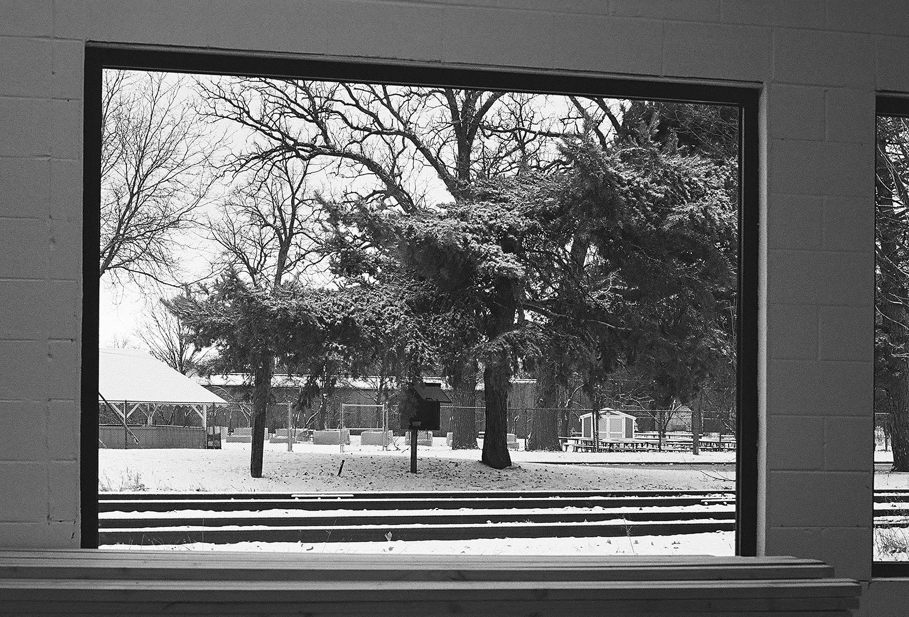 Feb Progress 07 bw.jpg