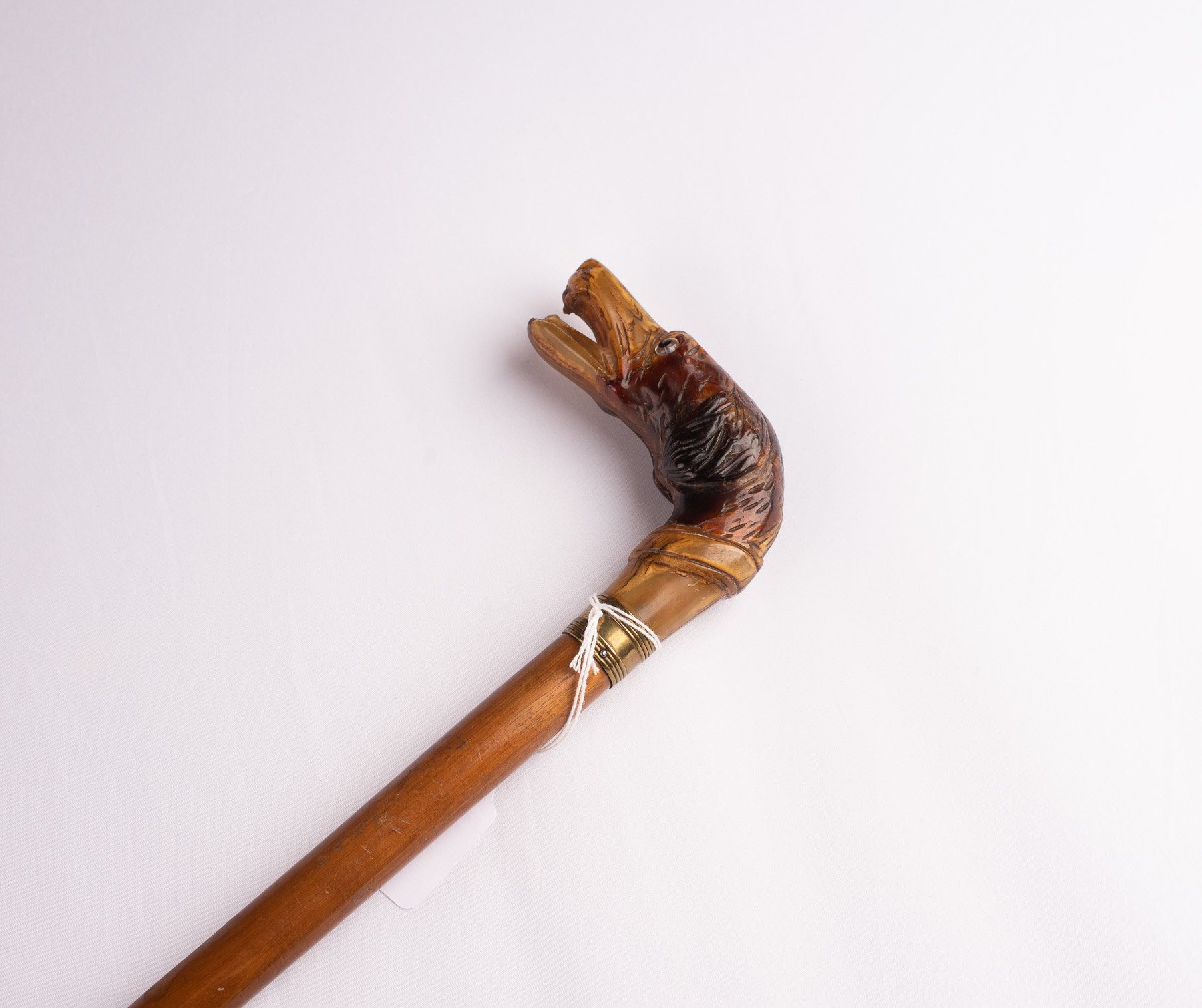 Cane-DogHead-3514.JPG