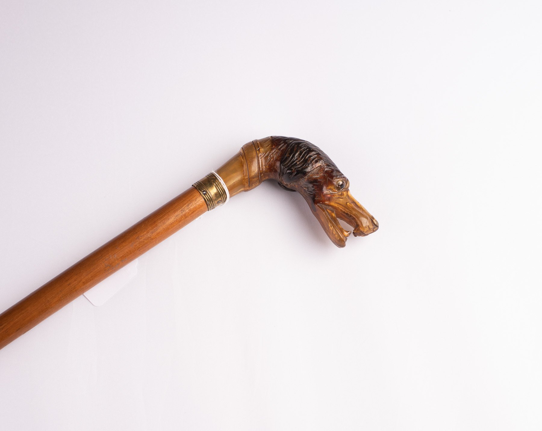 Cane-DogHead-3512.JPG