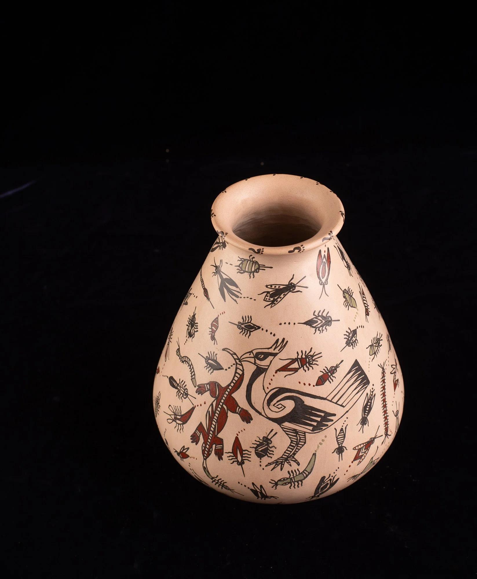 Mata Ortiz Jar w Lizard-9136.JPG