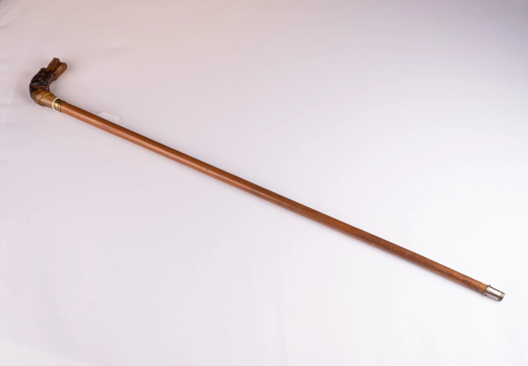 Cane-DogHead-3507.JPG