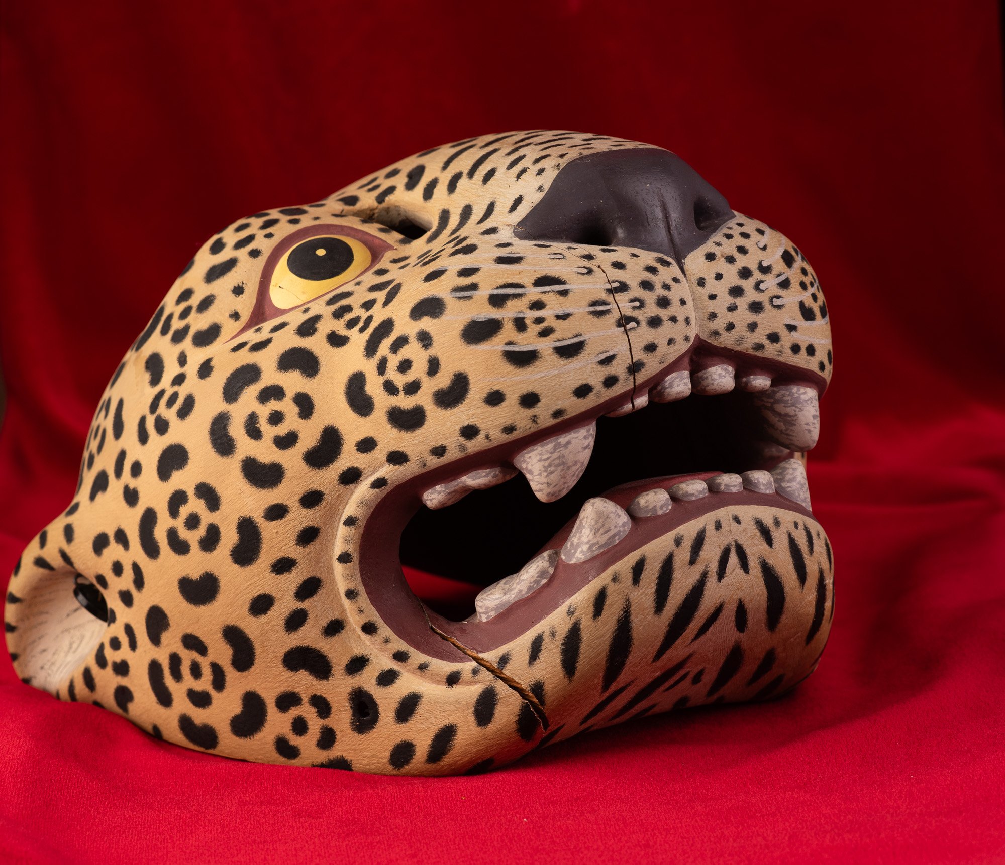 Jaguar-Filiberto Lopez Ortiz-8141.JPG