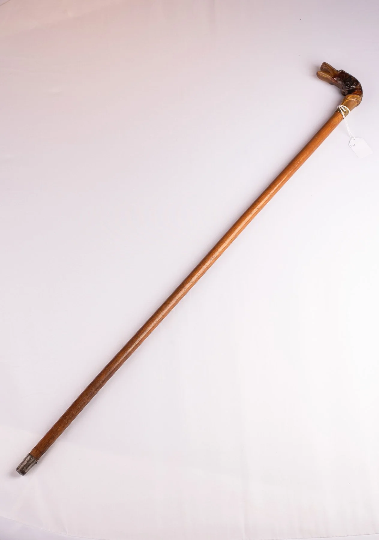 Cane-DogHead-3516.JPG