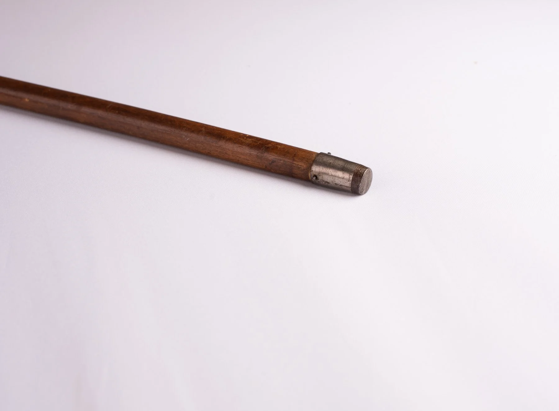 Cane-DogHead-3517.JPG