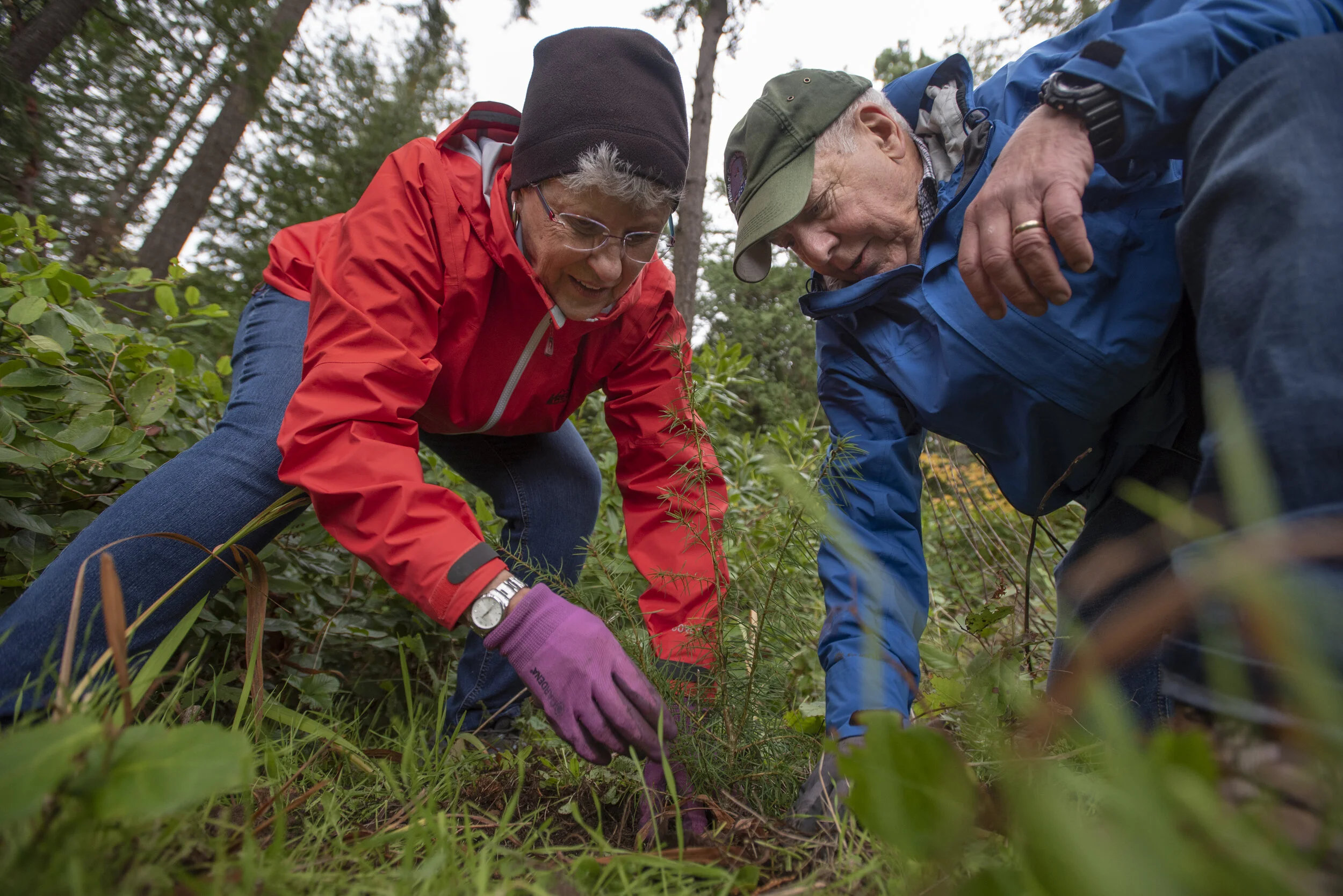 A.Better Ground.1.jpg