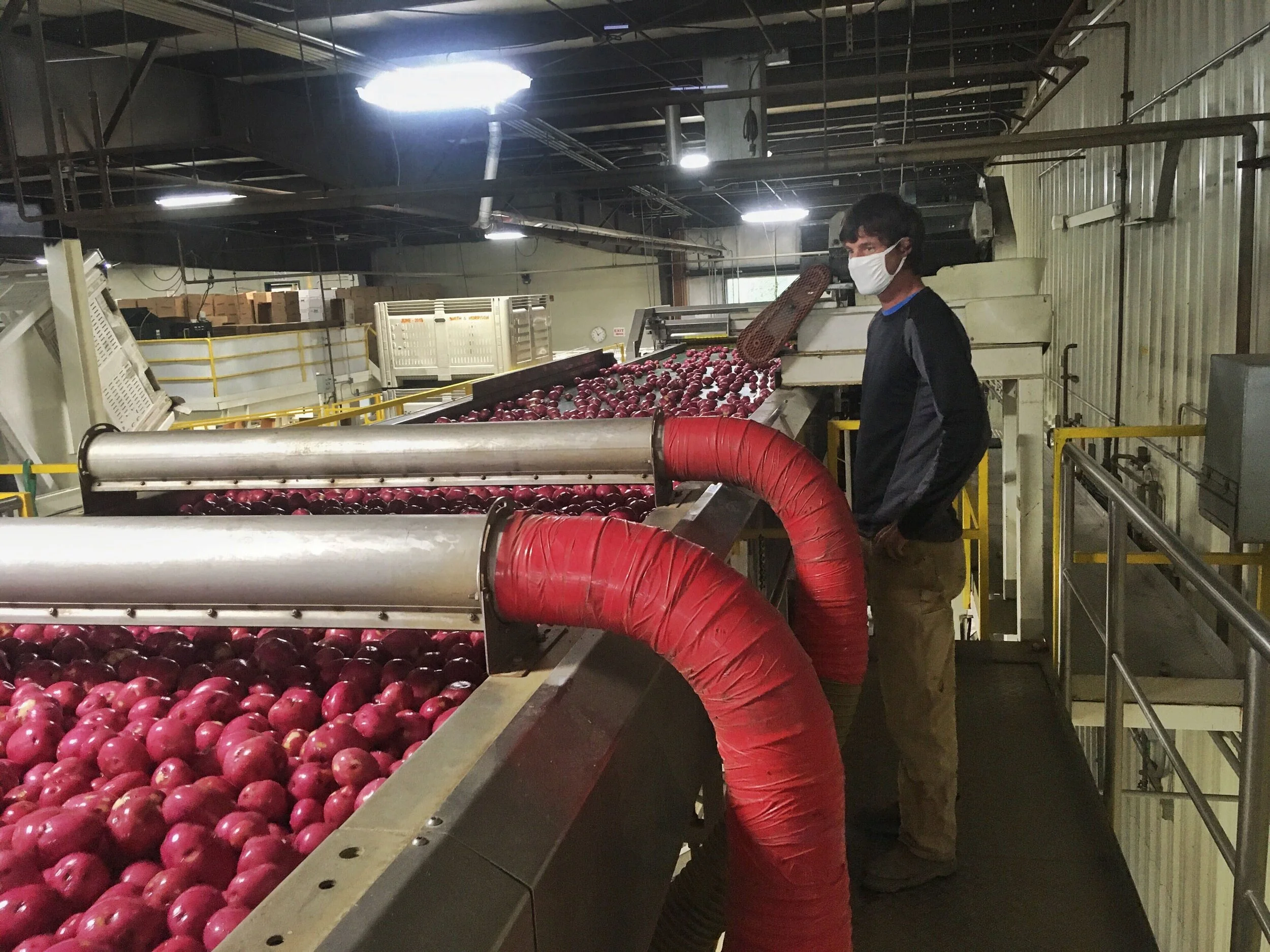 Image from iOS (10).jpg